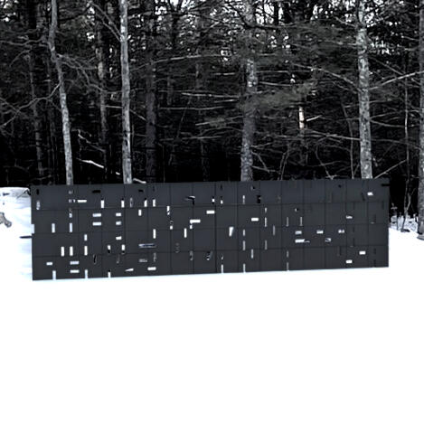 Carolyn and Macyn Bolt PA house - pool panel study